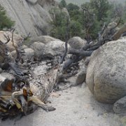 MonoBasin 165 : MonoBasin